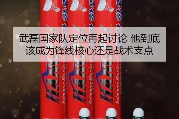 武磊国家队定位再起讨论 他到底该成为锋线核心还是战术支点 - App
